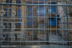 PETAUK's tweet photo. Sick of lockdown? Imagine how they feel. https://t.co/2ZIDf7kHek