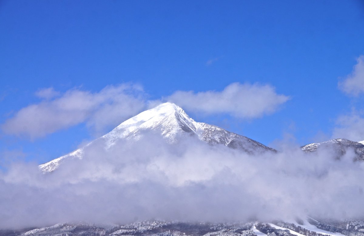 kokokarincyo tweet media