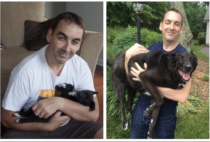 jenniwdog's tweet photo. In June 2011 my husband Steve & I fostered a litter of 7 pups. Patrick the puppy adored Steve and loved being picked up by him. Photo on the right is 6 years after we last saw him - Steve picked him & he remembered him! #Dogsneverforget
#tongueouttuesday #RescueDogs #puppylove https://t.co/XwevlBjO22
