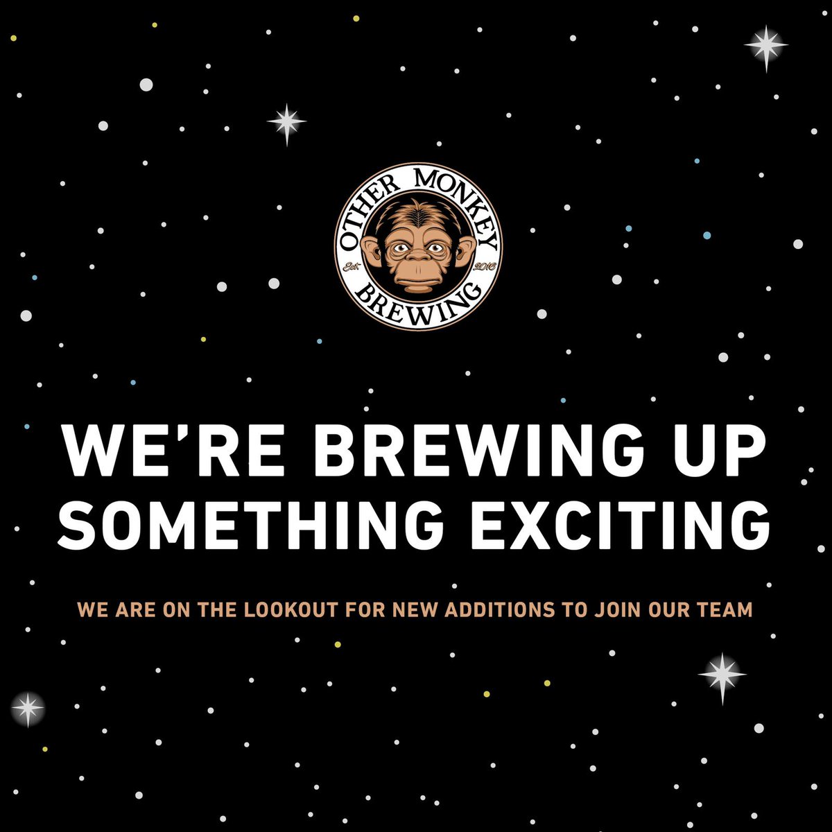 We are on the lookout for new additions to join the Other Monkey Brewing team and welcome speculative applications! 
If you fancy joining us, please send us an email with your CV via the link below. 
othermonkeybrewing.com/careers/ #brewing #joinus #colchester