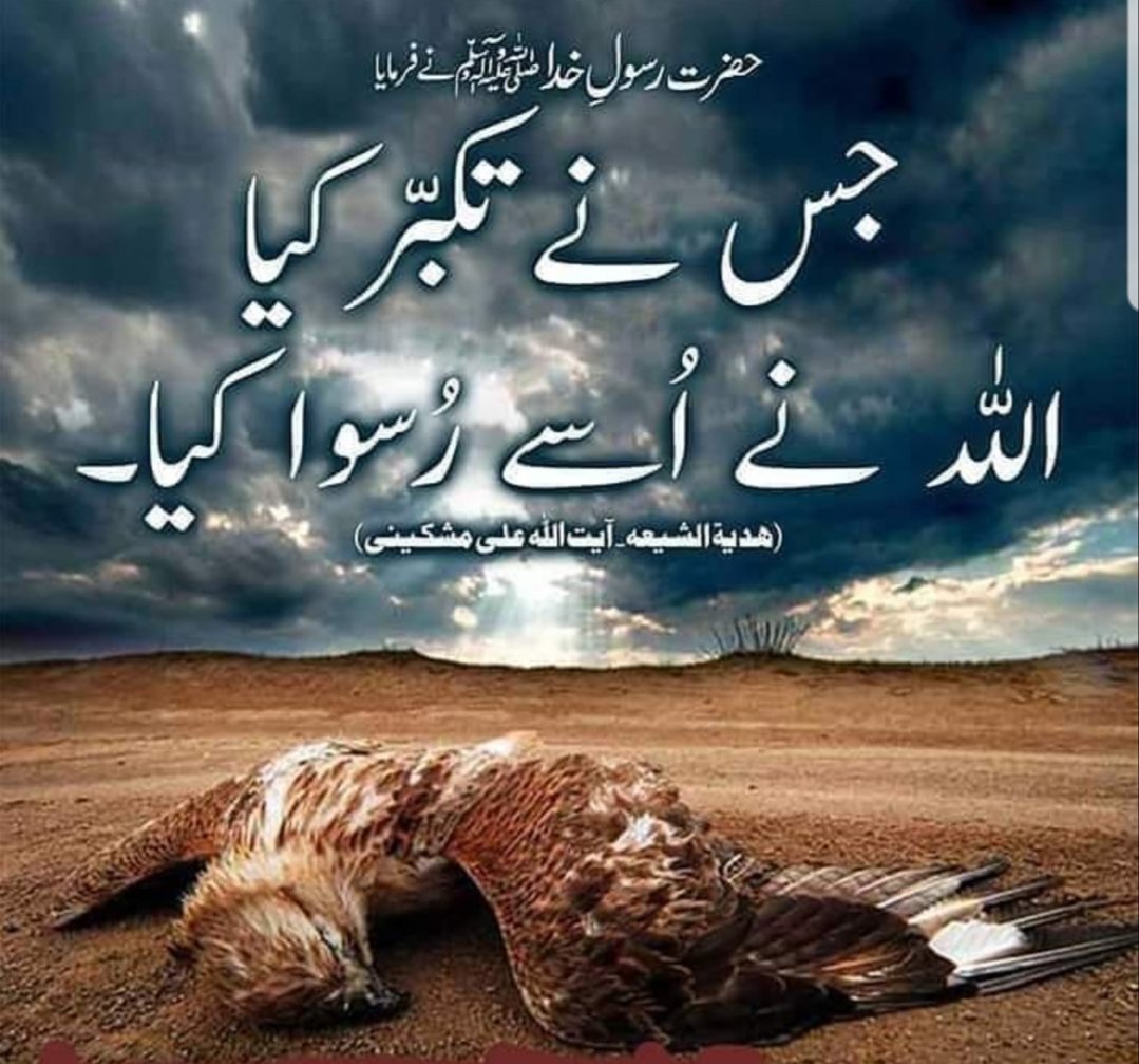 khansab000's tweet photo. Beshak https://t.co/mAcNFUttjj