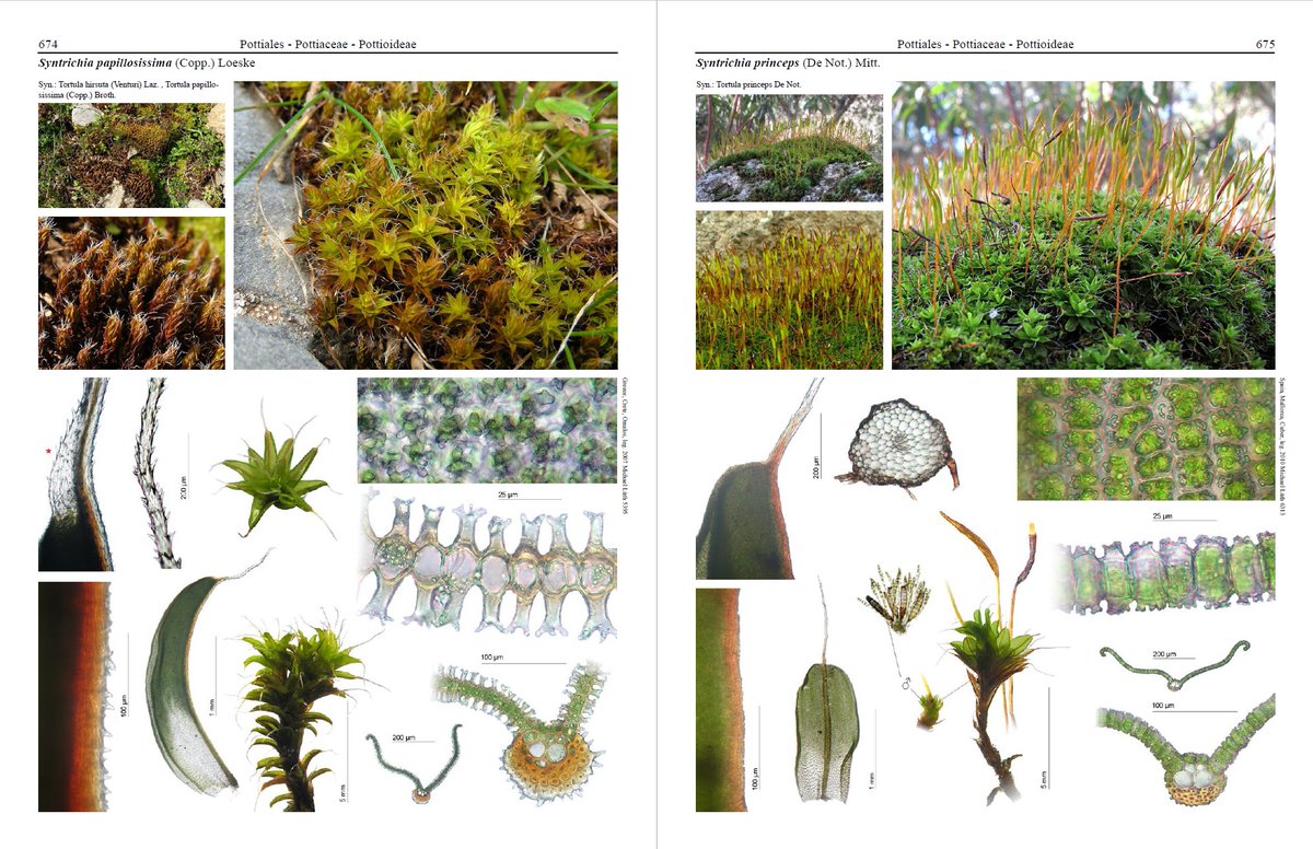 Michael Lueth tweet media