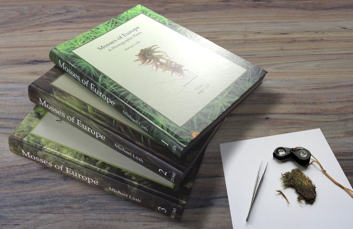 Michael Lueth tweet media