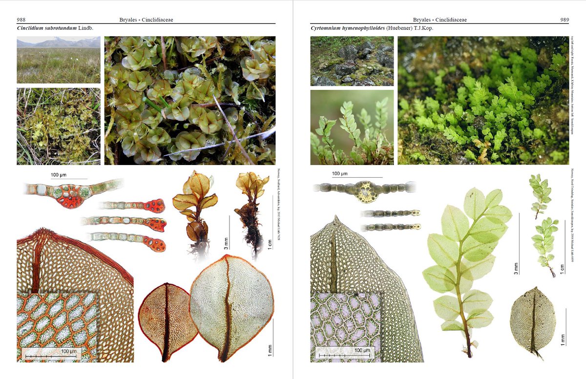 Michael Lueth tweet media