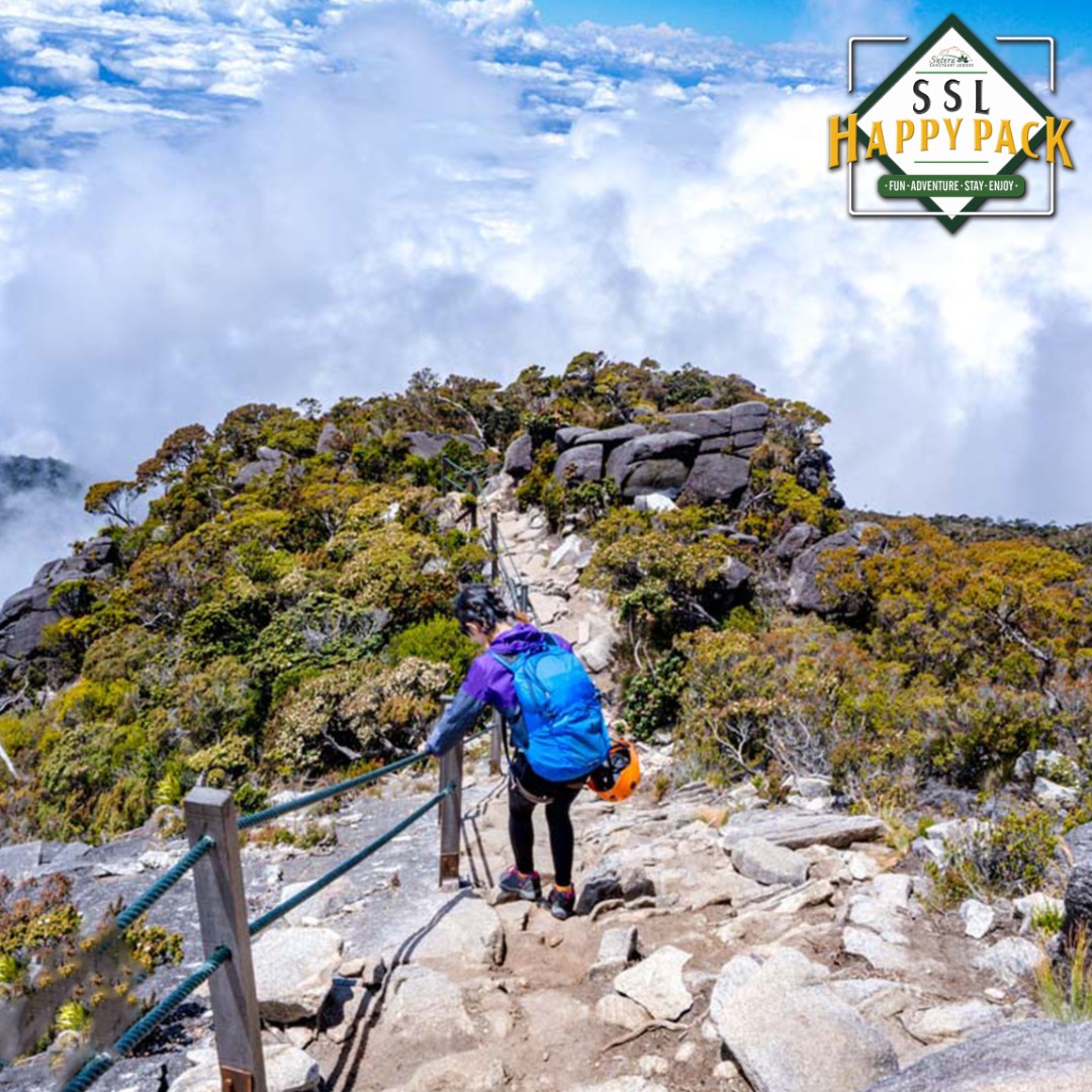 suterasanctuary's tweet photo. “The cliche is that life is a mountain. You go up, reach the top, and then go down.”
by Jeanne Moreau
For more info about our #SSLHAPPYPACK:-
FB PAGE @suterasanctuary
https://t.co/wrwRtpzQzY https://t.co/4JolNevIvz
