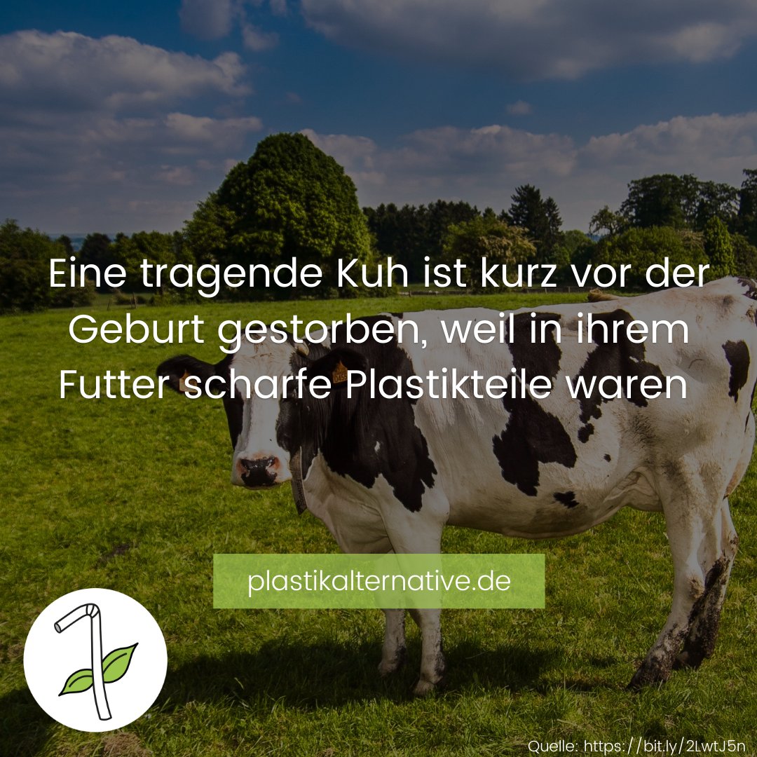 plastikalternative (@plastikalternat) on Twitter photo 