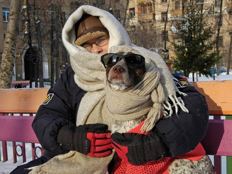 Почему одевайтесь теплее. Тепло одетый человек. Очень тепло. Пёс в одежде теплой. Человек укутанный в одежду.