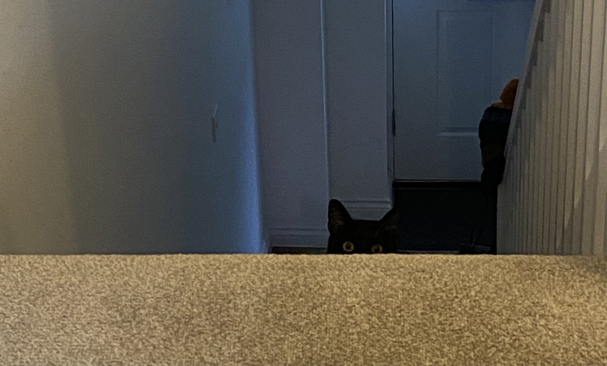 AFM_History's tweet image. Do you ever get the feeling you’re being watched...? #teachingfromhome #onlineteaching