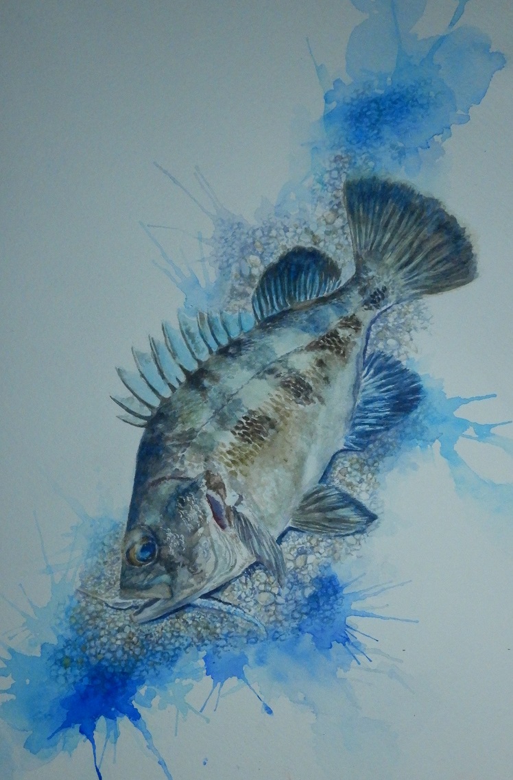 Twoucan メバル の注目ツイート イラスト マンガ