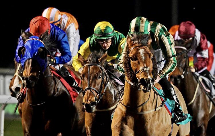 Crowd_Racing's tweet photo. Over the all years we have had BORN TO FINISH with us, a lot of pics have been taken but this one from @FrancescaJane_x via @JH_photographer is my absolute favourite. Stunning picture! #goldandgreen #leaderofthepack #9timewinner #jointhecrowd https://t.co/0lGc5bcvEf
