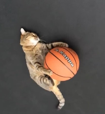 🐾 (@moebaekho) on Twitter photo 