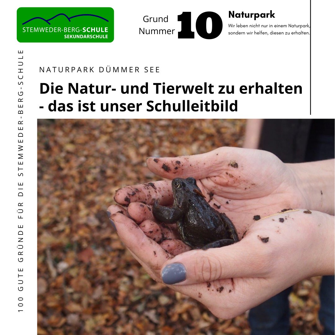Wir sind Naturparkschule und sind dankbar, in einer solchen natürlichen Umgebung arbeiten und leben zu dürfen. Daher sind uns die Natur- und Tierwelt sehr wichtig und wir möchten helfen diese zu schützen und zu wahren.
#stemwede #sekundarschule #naturschutz #naturpark #dümmersee