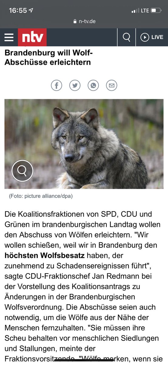 SamundSammy's tweet image. Ob das euer Ernst ist will ich wissen 🤨

Und in ein paar Jahren wundert man sich dann wieder warum es in Deutschland keine Wölfe mehr gibt 🙄

Erst recht diese Vergeltungsmaßnahmen WTF
Wenn euch ein Wolf angreift könnt ihr euch ja wehren aber dieses 1 Wolf hat 1 Schaf angefallen