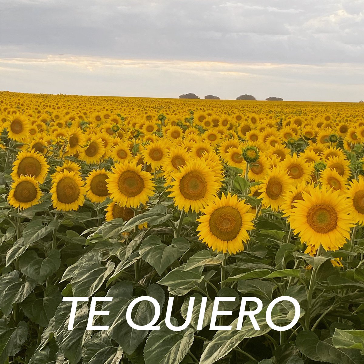 ariasmignacio's tweet photo. @BumperCrop1 https://t.co/kO8UPtk6Zo