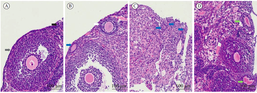 Beyond Genes tweet media