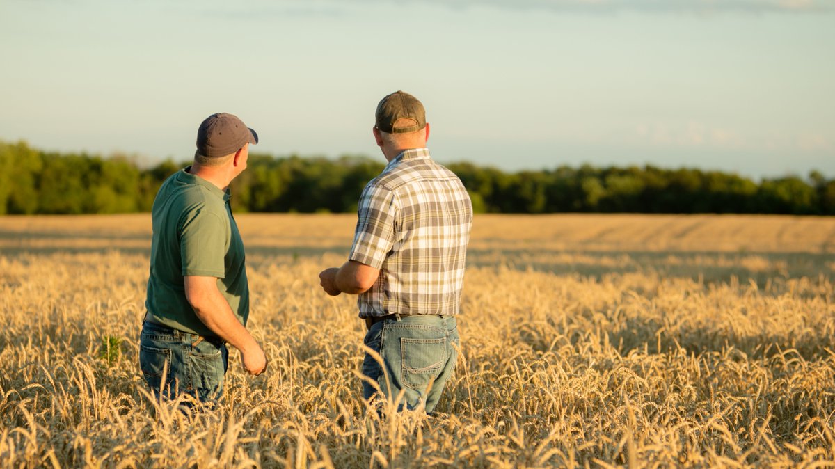 When looking at ag inputs, you'll find that cutting stabilizers from your nitrogen management program may leave your crops and profitability at risk. Learn from two NE industry experts as they compare some of the cost-cutting questions they’ve advised on: bit.ly/393BFmy