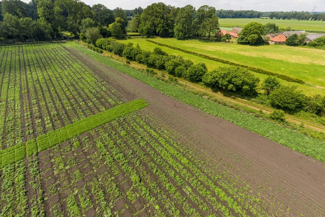 Heb je afgelopen jaar een pixel gepacht op Landgoed Velhorst? We zijn benieuwd naar jouw ervaring met #pixelfarming. Jouw input is belangrijk voor ons, dus hopen we dat je mee wilt werken aan de evaluatie. Het invullen van de enquête kost 5 minuten: forms.gle/Ji84M5ia6T6gwp…