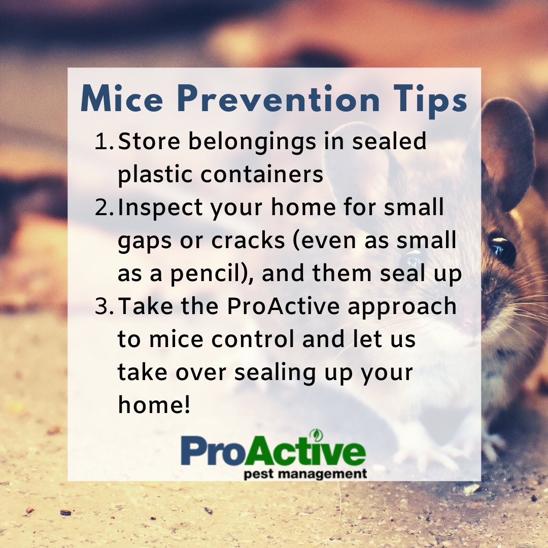 ProActivePest1's tweet photo. https://t.co/DGq4RmJkKW