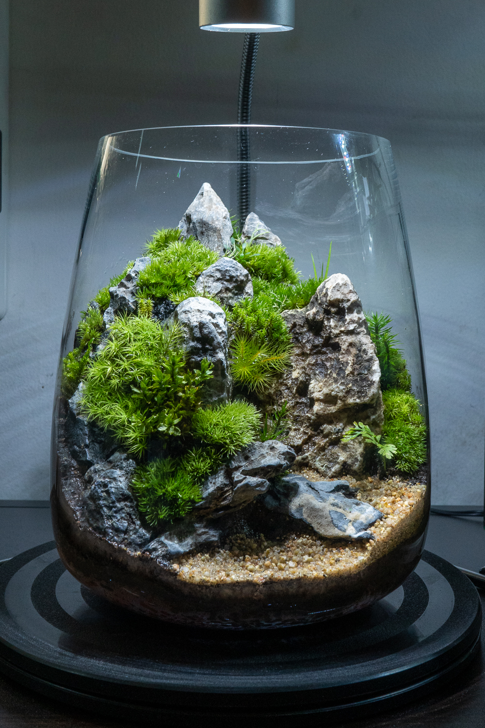 季節の表現者 Kachikoh 年末年始に作ったコケリウムを順次紹介させていただきます Ikeaのガラス瓶の中に青華石を使い山岳レイアウトに挑戦しました 苔 Moss 苔インテリア 苔のある生活 苔テラリウム 山岳レイアウト テラリウム パルダリウム