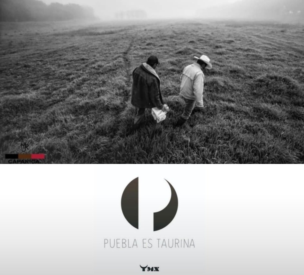 Por nuestra gente que trabaja arduamente, generación tras generación en las ganaderías de toros de lidia... ¡NO MAS ATROPELLOS A LA TAUROMAQUIA!
<a href="/RiveraVivanco_/">Claudia Rivera Vivanco</a>  <a href="/EcoTauromaquia/">Eco Tauromaquia</a> <a href="/TauromaquiaTMX/">Tauromaquia Mexicana</a> <a href="/PueblaAyto/">Puebla Gobierno de la Ciudad</a> <a href="/ElRelicarioPue/">Plaza de toros El Relicario</a>