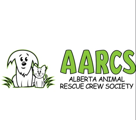 Trolley_5's tweet photo. Day 2 of our Trolley Growlers For A Cause! 

For every growler fill of our A Gentleman's Agreement NESIPL today $7 will be donated to support the Alberta Animal Rescue Crew Society (AARCS)

Growler + Fill $20.
Growler Fill $12. 
Open until 9 pm at #YourCommunityBrewpub https://t.co/3VAMyzBdwK