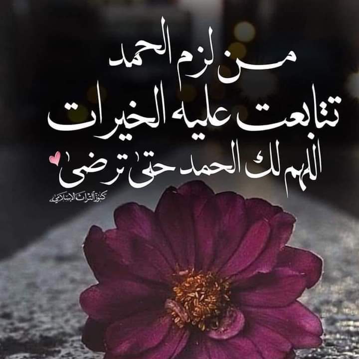 الحمد لله الذي لا ينسى من ذكره

الحمد لله الذي لا يخيب من دعاه 
الحمد الله الذي هو ثقتنا حين تنقطع عنا الحيل
الحمد لله الذي يكشف ضرَّنا عند كُرَبنا

الحمد لله الذي يجزي بالإحسان إحساناً

الحمدلله الذي يجزي بالصبر نجاة

يآرب لك الحمد كما ينبغي لجلال وجهك وعظيم سلطانك