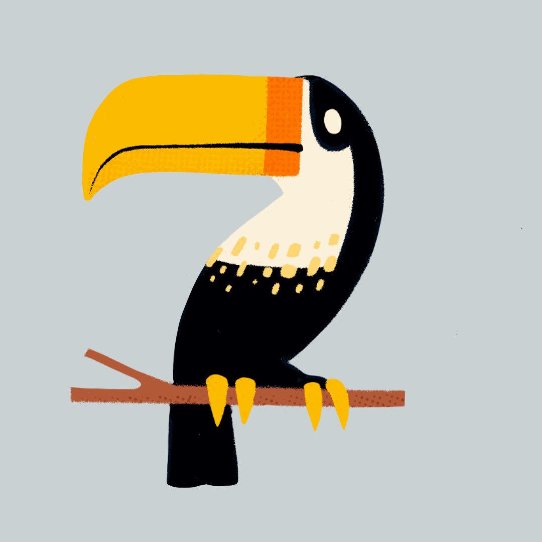 chrisfrostdraws's tweet photo. I've got a lot of love for design found on ephemera, which is why I decided to do a study of this toucan from an old Czech matchbox.

#illustration #animals #art https://t.co/J9rSKbYJk2