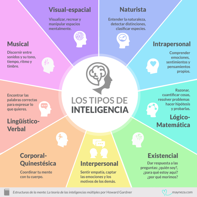 virginiog's tweet photo. Forma gráfica de presentar las Inteligencias Múltiples de Howard Gardner https://t.co/S6CYufHuwN