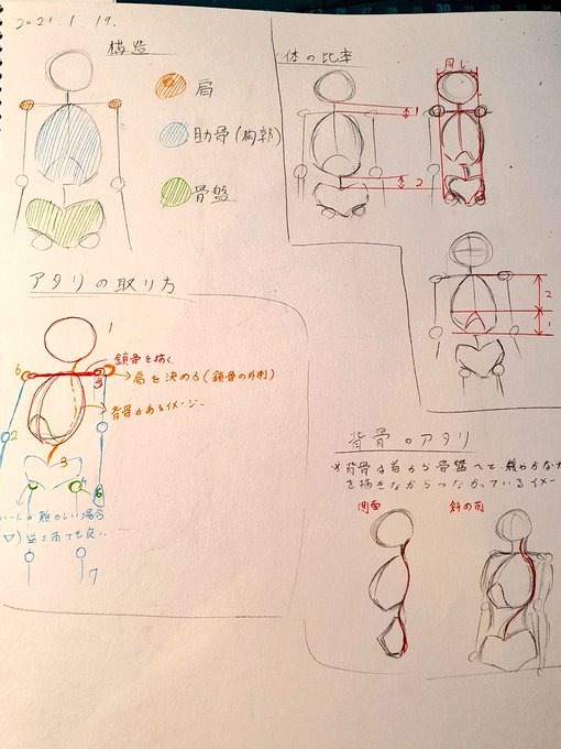 身体の構造お勉強中... 