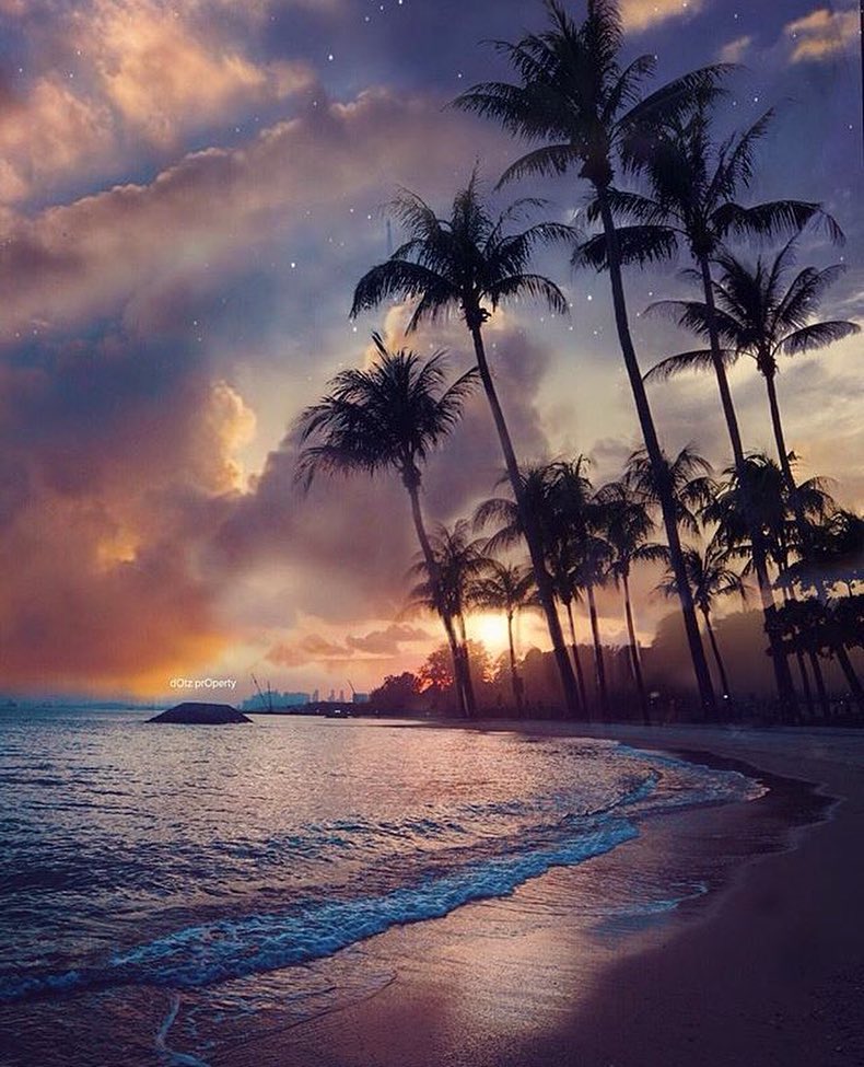 RuizLisa_'s tweet photo. A dream night on the shores of Singapore. #travelphotography #naturephotography #travelbloggers #travel #explore #photooftheday #travelingalone #travelingourplanet #sharetravelpics #lifewelltravelled #adventuretraveler #traveling #traveler #wearealladventurers #adventureaddict https://t.co/IW2XZFdvOQ