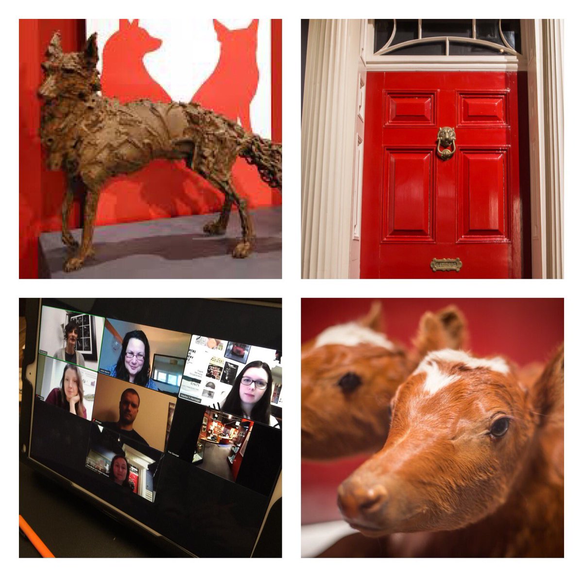 tinawotbox's tweet photo. Huge thanks to Tim & Katie from @LeicsCountyHall @LeicsMuseums #MeltonMuseum for providing us with a #VirtualTour this morning. A great way to #kickstart a Tuesday morning..... we’re looking forward to working with you on our #DigitalPersona project. @Y_Heritage @wotspace #DocEd https://t.co/NH0iJAd87M
