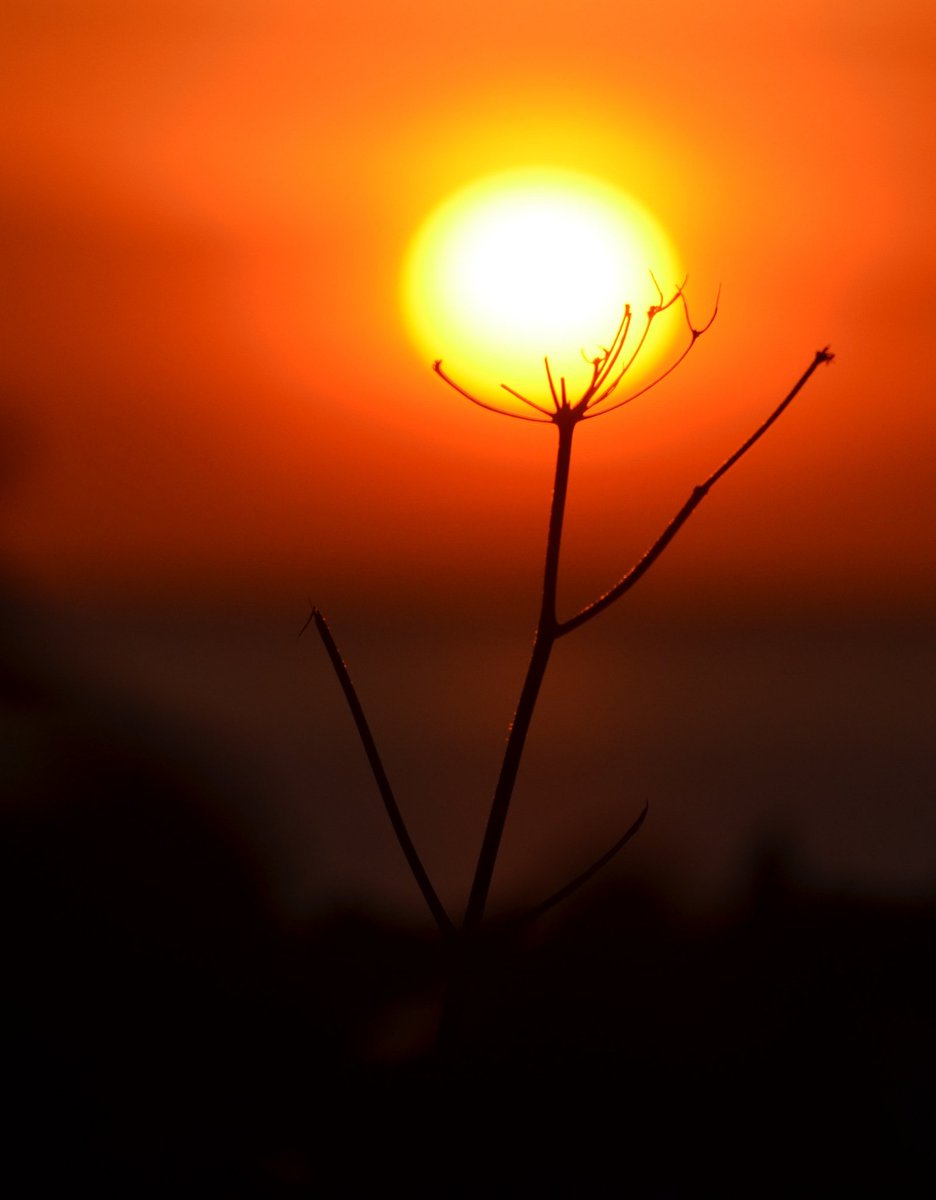 You held the world in your hands...