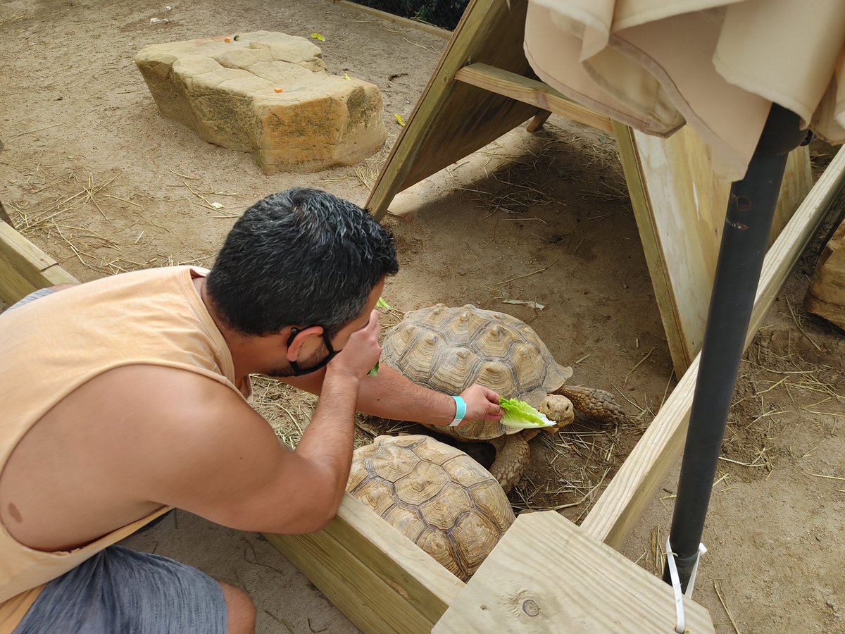 FreddyVelaTv's tweet photo. I took advantage of the nice weather and visited @spibirding to feed the tortoises and see the alligators (Socially distanced, of course!)
I had so much fun visiting and will be sure to take another trip soon!!!
#spi #birdingcenter #beach #daytrip #onemonth https://t.co/a6wXK9lcTZ