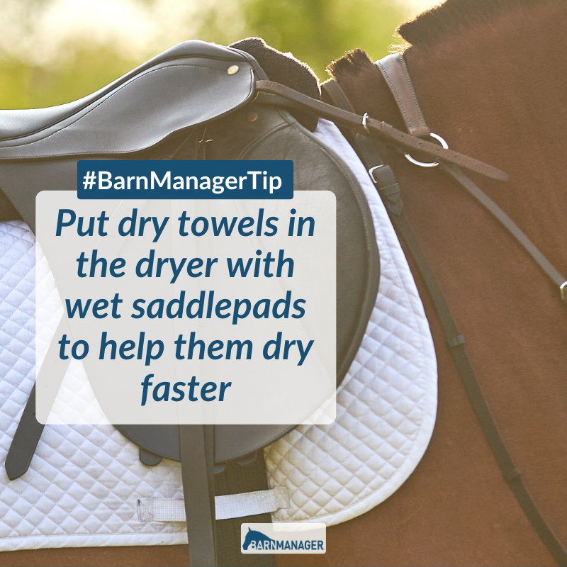 BarnManager1's tweet photo. Is it magic? #BarnManagerTip https://t.co/eD95Srs7ZK