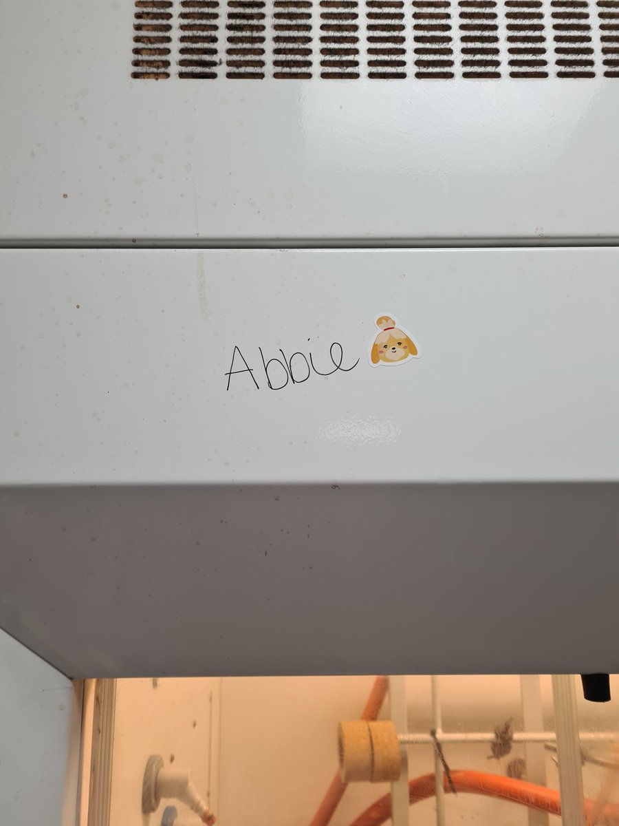 Abbie Scholes (@abbiescholes) on Twitter photo Cute lab gifts from <a href="/___megancarr/">Megan Carr</a> means there may or may not be animal crossing stickers dotted randomly around the lab now 😊😊 Cute lab gifts from <a href="/___megancarr/">Megan Carr</a> means there may or may not be animal crossing stickers dotted randomly around the lab now 😊😊