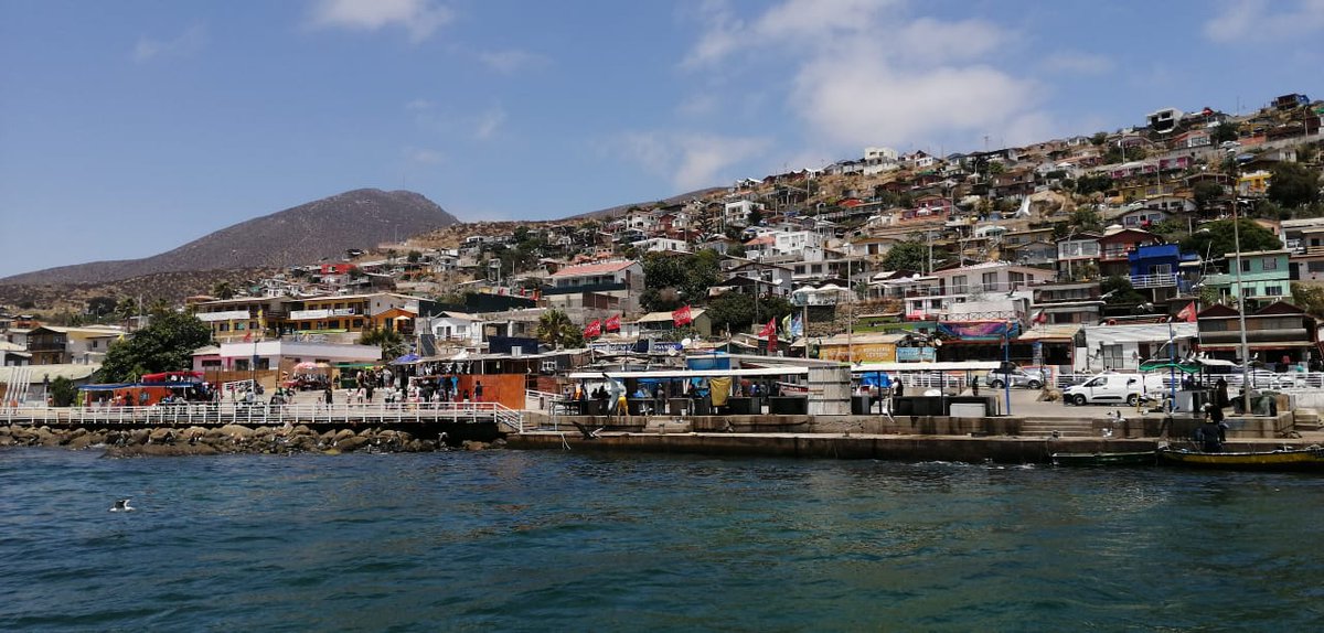 ContigoTurismo's tweet photo. Esta semana se lanzó la Ruta de la Bahía de Guanaqueros en el marco del cierre del Nodo Servicios de Exportación Coquimbo, que contempla además otras 7 rutas para la comuna puerto y donde se han beneficiado además empresarios y emprendedores a través de diversas capacitaciones. https://t.co/0lXCiYttED