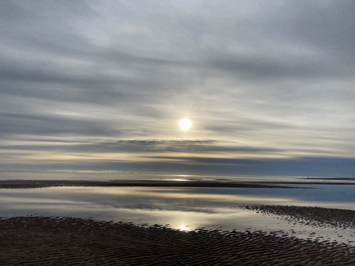 andreakjgreig's tweet photo. Beautiful frosty walk with the girls this morning #walking #miniatureschnauzers #schnauzers #dogs #dogslife #dogsthathike #eastcoast #Scotland #walklocal #loveschnauzers #schnauzerlife #beachwalks #dogadventures #beachesofscotland https://t.co/Uom0EyiLRQ