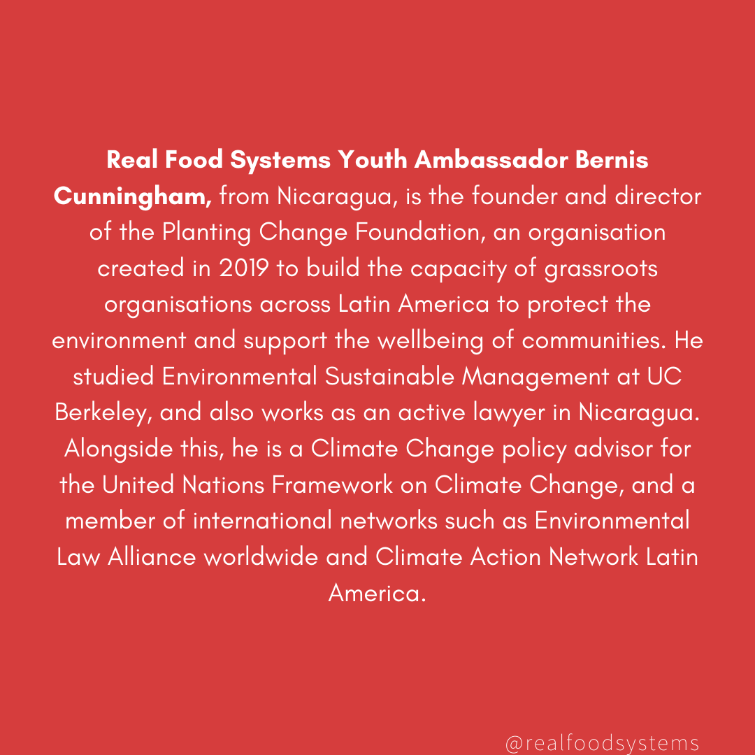 RealFoodSystems's tweet photo. RFS Youth Ambassador Bernis Cunningham, from Nicaragua, is founder and director of Planting Change Foundation. 

Read on below, and look out for more on his work in climate education this week! 

#ClimateAction #education #nicaragua 

📷 Bernis Cunningham https://t.co/mIBZWVHOuK