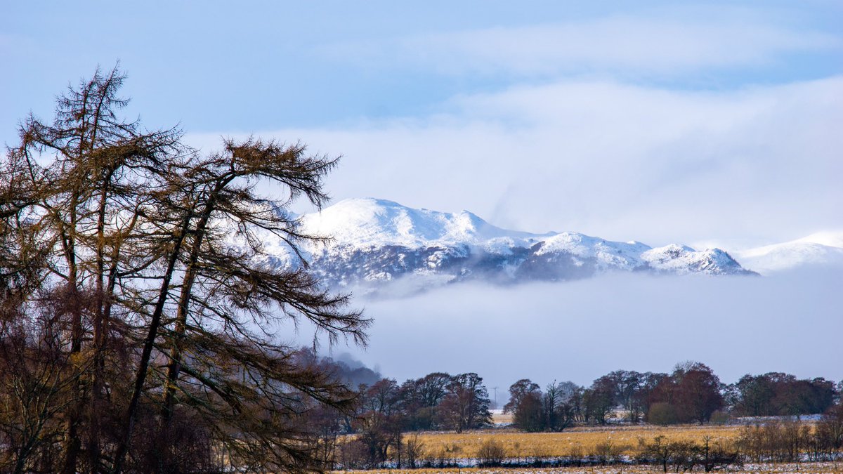 I love winter! <a href="/VisitScotland/">VisitScotland</a> <a href="/VisitCairngorm/">VisitCairngorm.com</a> #cairngorms