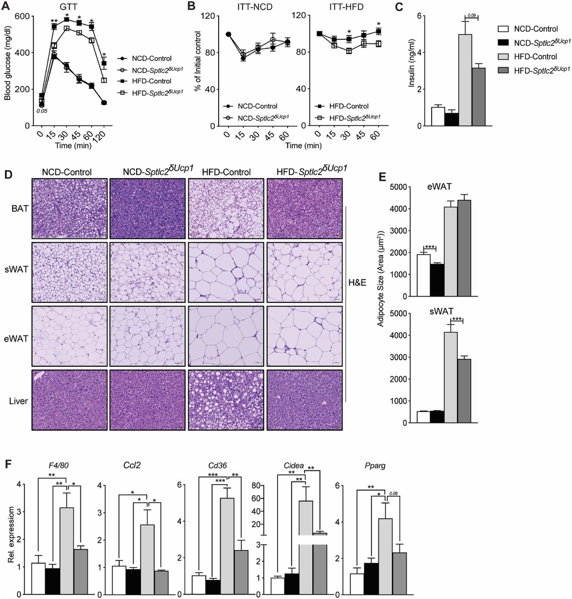 Molecular Metabolism (@molmetab) on Twitter photo #Aging results in a blunted #thermogenic #adipocyte function, which is now linked to an accumulation of #ceramides.
<a href="/uiowa/">University of Iowa</a> <a href="/IowaMed/">Carver College of Medicine</a> <a href="/IntMedatIowa/">Internal Medicine at Iowa</a> <a href="/Bhagi43905530/">Bhagirath Chaurasia</a>
➡️sciencedirect.com/science/articl… #Aging results in a blunted #thermogenic #adipocyte function, which is now linked to an accumulation of #ceramides.
<a href="/uiowa/">University of Iowa</a> <a href="/IowaMed/">Carver College of Medicine</a> <a href="/IntMedatIowa/">Internal Medicine at Iowa</a> <a href="/Bhagi43905530/">Bhagirath Chaurasia</a>
➡️sciencedirect.com/science/articl…