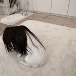 トラウマ確定？白犬にウィッグを付けると完全にあの問題のシーンに!
