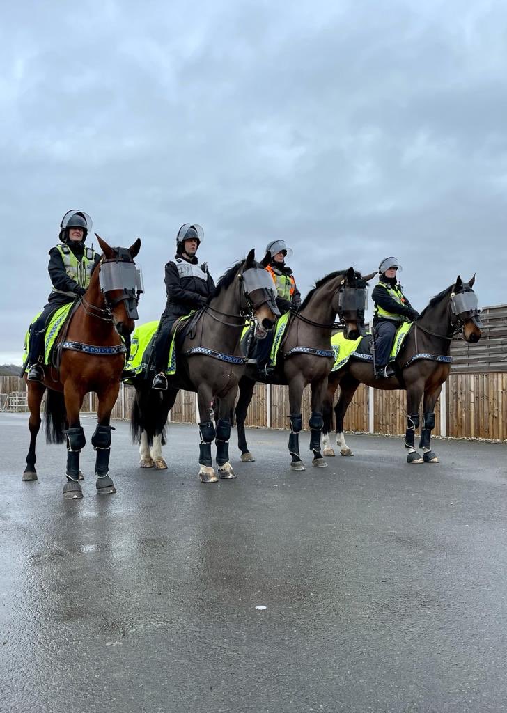 ASPoliceHorses's tweet photo. Clevedon, Trinity, Larry &amp; Somerset have been doing some public order training today. Trinity has obviously seen something funny 😆. Maybe it was the trainer ?? ⁦@clivebush3645⁩ 🐴🐴🐴🐴 #mountedtraining https://t.co/ONGgz3qTOO