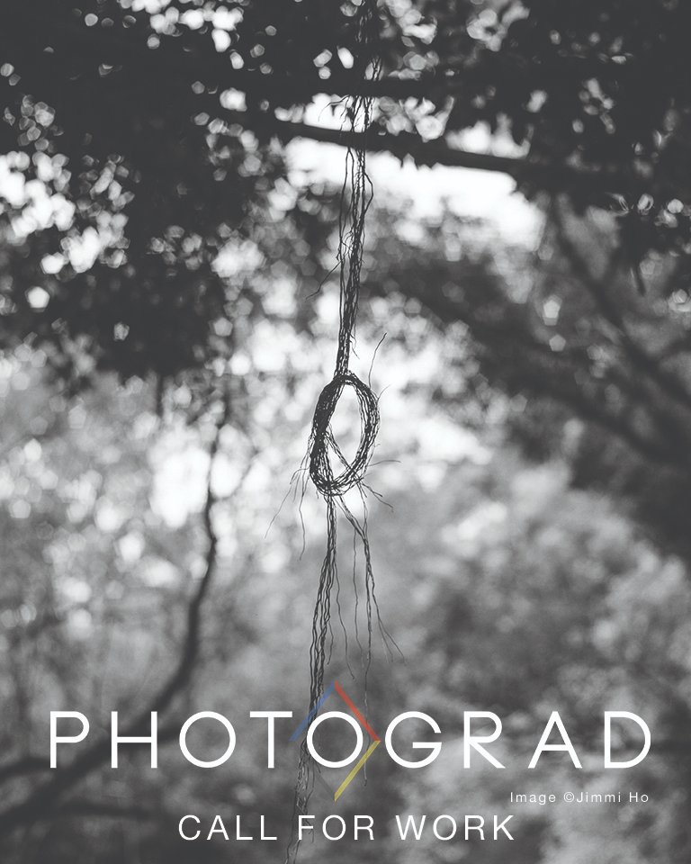 Photograd tweet media