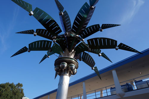 Alexandra__M's tweet photo. Tomorrowland Palm Tree Appreciation Post 🌴 https://t.co/LkTUSyXaOQ