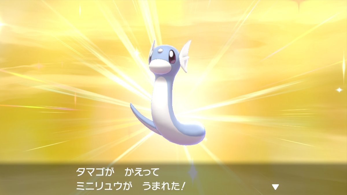 Yo 今日もふつうのミニリュウ量産 いつになったら色違いに会えるのか ポケモン剣盾 Yo 今日もふつうのミニリュウ量産 いつになったら色違いに会えるのか ポケモン剣盾