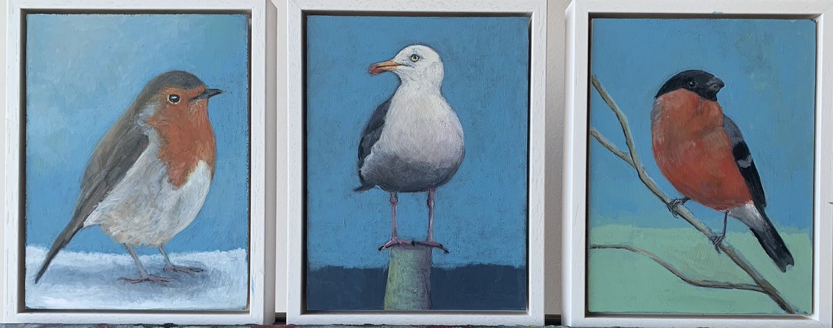 Carys Evans tweet media