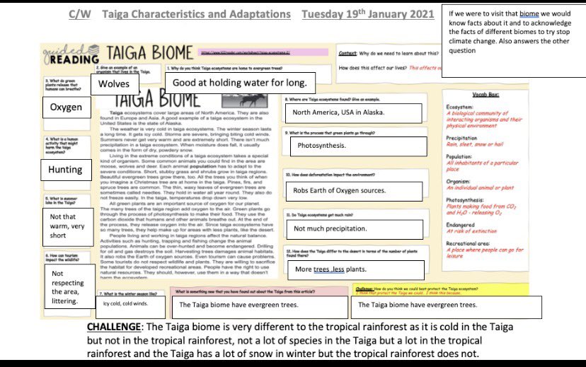 Miss Budd tweet media