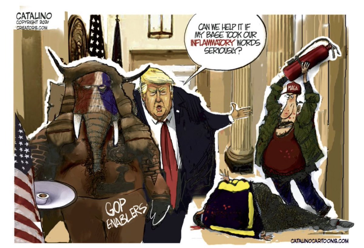 The crisis now is that more than 70% of Republican voters falsely believe that there was some kind of widespread fraud in the election. A GOP that retains Trump's conspiratorial worldview is not a political party. It is a dangerous cult. Elected officials who have cynically...