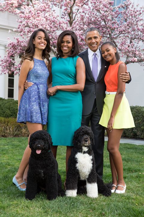 meg_a5's tweet image. There will be dogs back in the White House and that means better days are ahead!! #sixthsense #dogsknow #champ #major #bidens #bo #sunny #obamas #bród #síoda #michaeldhiggins #presidents #whitehouse #humansbestfriend #hope #future