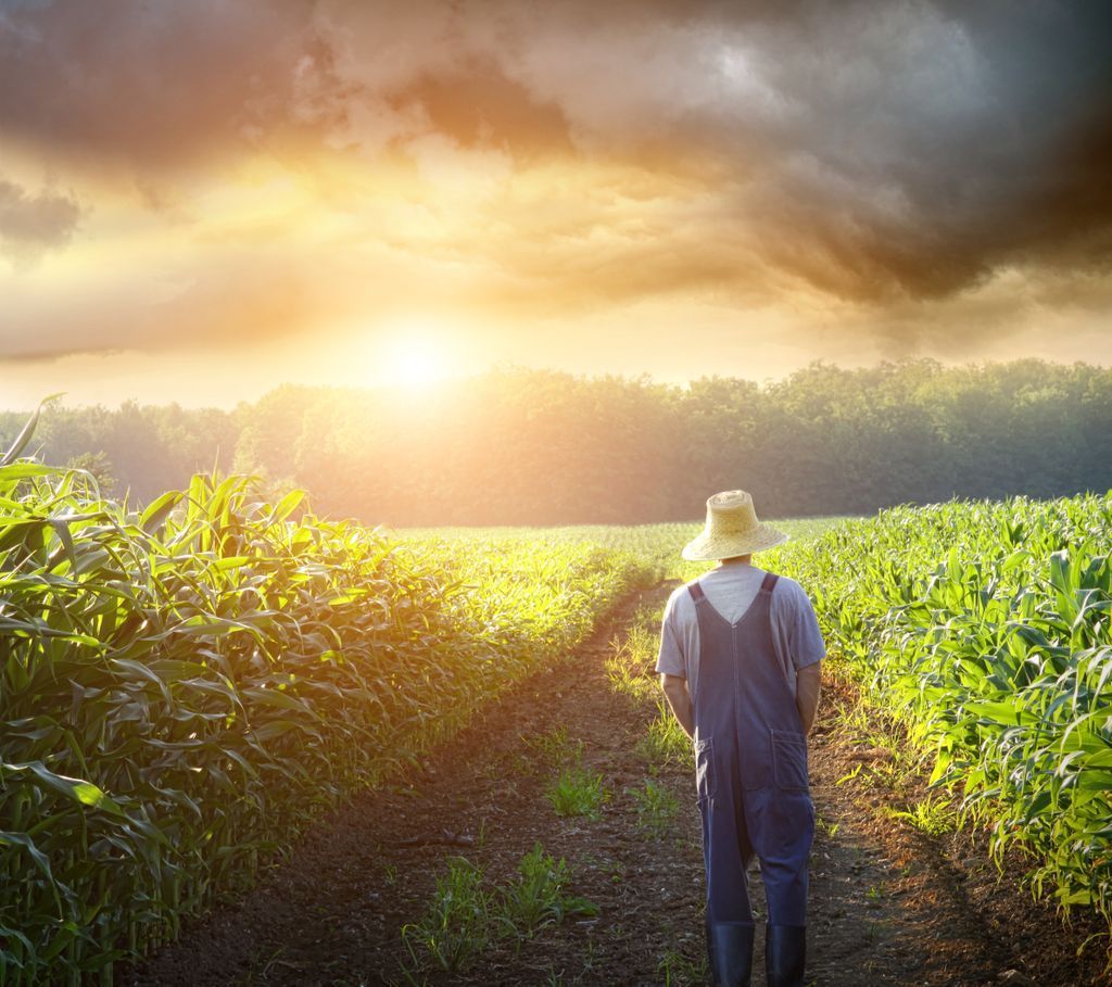 EthanolEurope's tweet photo. “Domestic crop #biofuels are still the single biggest contributor to reducing oil consumption in the transport sector, it brings over €6 billion in farm incomes and greatly reduce imports of soy meal from the Americas,” says Ben Lammert of @FarmEurope. https://t.co/RF91xTbQho https://t.co/5tkKgMMnvN